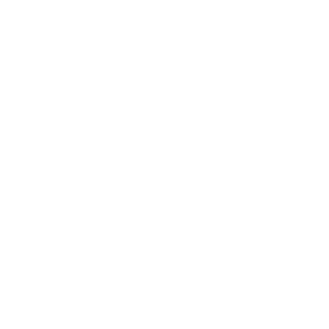 Logo Partner Stadt Zeitz